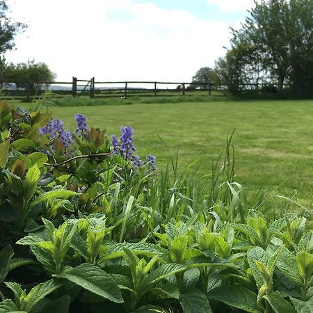 Bed and Breakfast Cotswolds Mine Hill House Lower Brailes Екстер'єр фото
