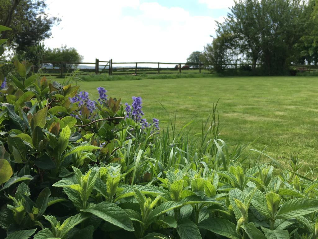 Bed and Breakfast Cotswolds Mine Hill House Lower Brailes Екстер'єр фото